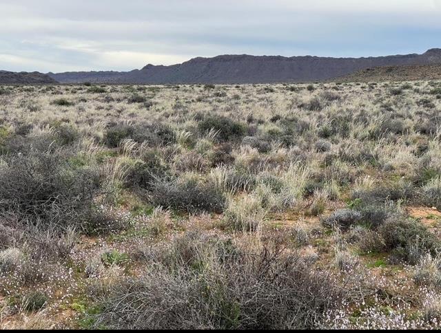 0 Bedroom Property for Sale in Williston Northern Cape